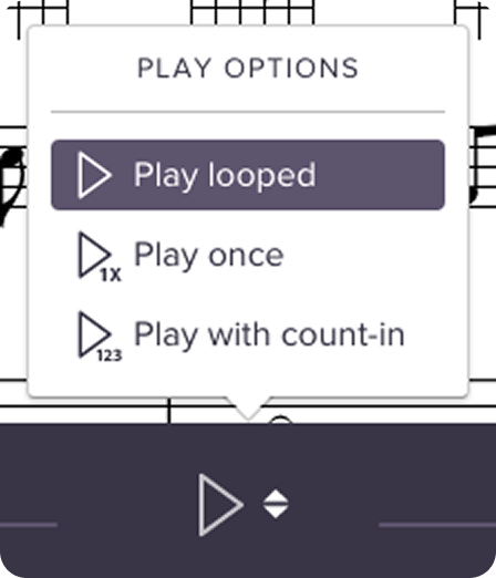 Soundslice Loop Options